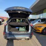 Miniature