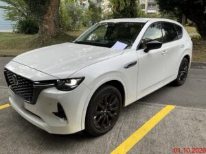 Mazda CX-60 2.5 PHEV Homura, 191 PS