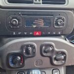 Miniature