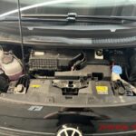 Miniature