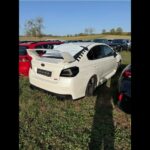 Miniatur