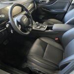 Miniature
